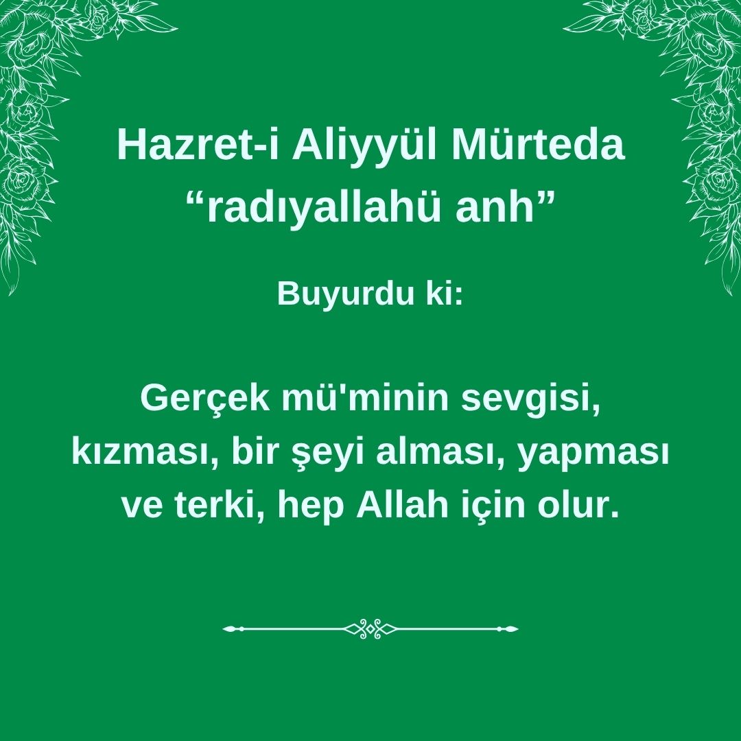 Aliyyül Mürteda (55)